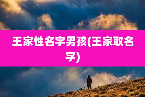 王家性名字男孩(王家取名字)