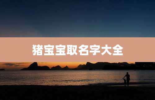 猪宝宝取名字大全