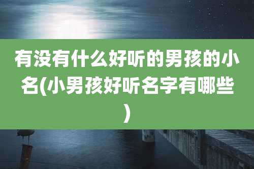 有没有什么好听的男孩的小名(小男孩好听名字有哪些)