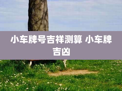小车牌号吉祥测算 小车牌吉凶