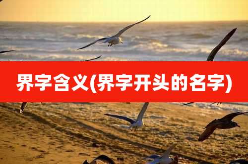 界字含义(界字开头的名字)