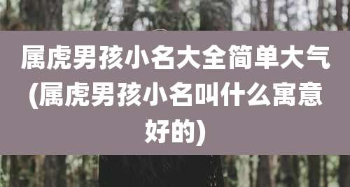 属虎男孩小名大全简单大气(属虎男孩小名叫什么寓意好的)