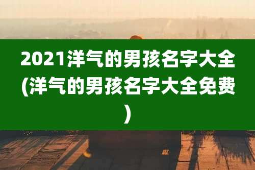 2021洋气的男孩名字大全(洋气的男孩名字大全免费)