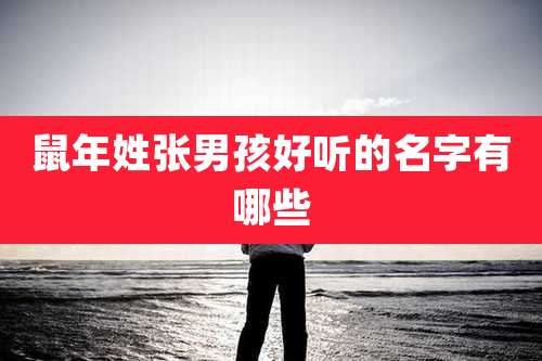 鼠年姓张男孩好听的名字有哪些