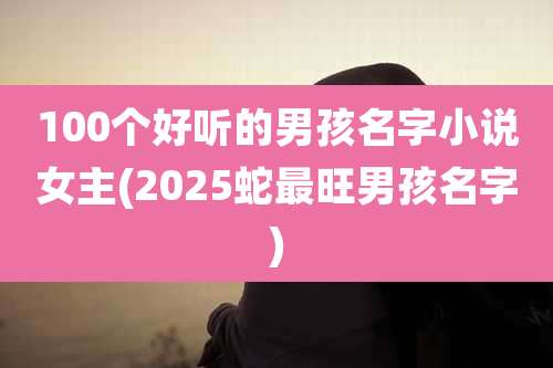 100个好听的男孩名字小说女主(2025蛇最旺男孩名字)