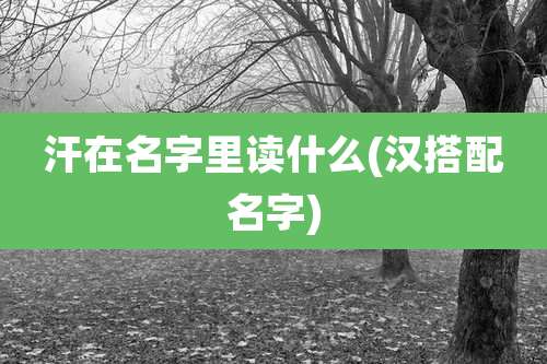 汗在名字里读什么(汉搭配名字)