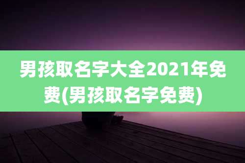 男孩取名字大全2021年免费(男孩取名字免费)