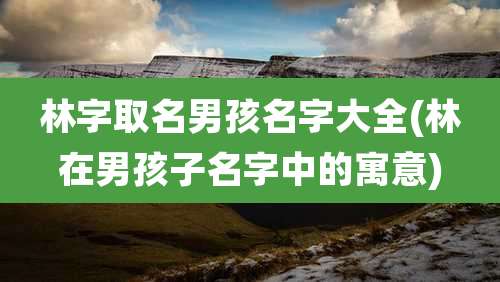 林字取名男孩名字大全(林在男孩子名字中的寓意)