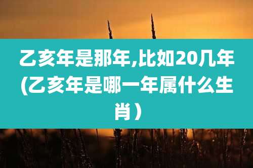 乙亥年是那年,比如20几年(乙亥年是哪一年属什么生肖）
