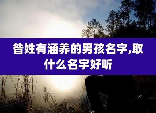 昝姓有涵养的男孩名字,取什么名字好听