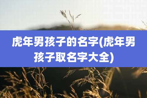 虎年男孩子的名字(虎年男孩子取名字大全)