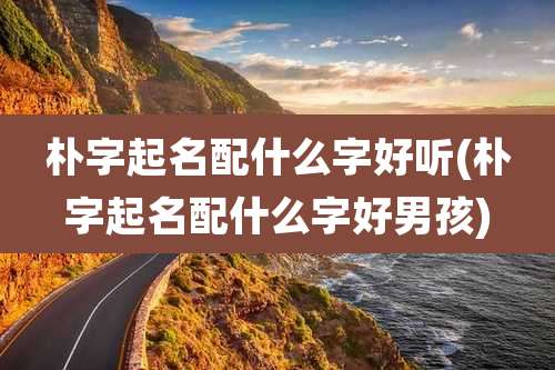 朴字起名配什么字好听(朴字起名配什么字好男孩)