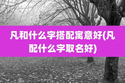 凡和什么字搭配寓意好(凡配什么字取名好)