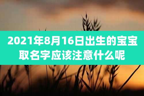 2021年8月16日出生的宝宝取名字应该注意什么呢
