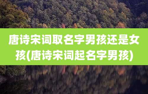 唐诗宋词取名字男孩还是女孩(唐诗宋词起名字男孩)