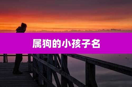 属狗的小孩子名