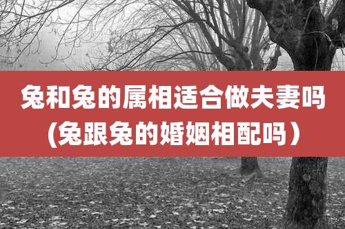 兔和兔的属相适合做夫妻吗(兔跟兔的婚姻相配吗)