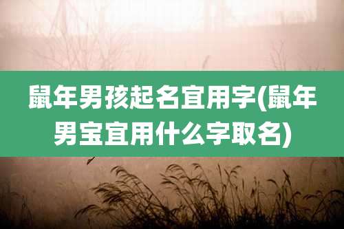 鼠年男孩起名宜用字(鼠年男宝宜用什么字取名)