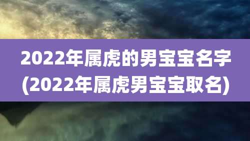 2022年属虎的男宝宝名字(2022年属虎男宝宝取名)