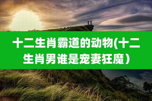 十二生肖霸道的动物(十二生肖男谁是宠妻狂魔）