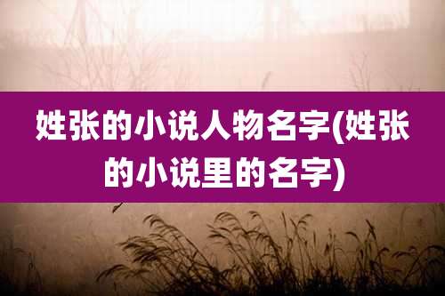 姓张的小说人物名字(姓张的小说里的名字)
