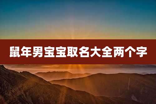 鼠年男宝宝取名大全两个字