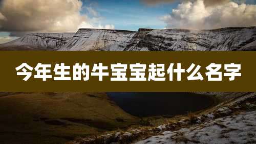 今年生的牛宝宝起什么名字