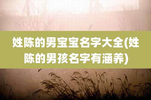 姓陈的男宝宝名字大全(姓陈的男孩名字有涵养)