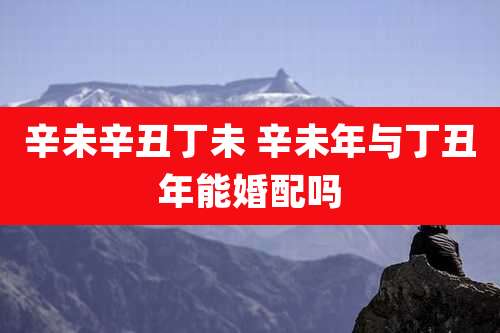 辛未辛丑丁未 辛未年与丁丑年能婚配吗