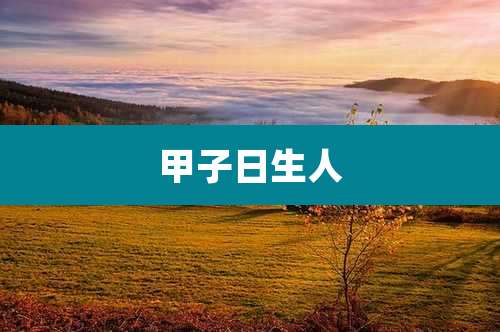 甲子日生人