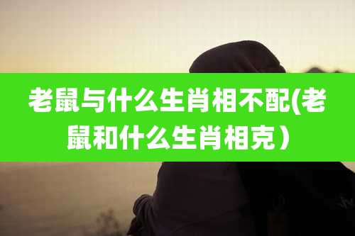 老鼠与什么生肖相不配(老鼠和什么生肖相克)