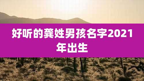 好听的龚姓男孩名字2021年出生
