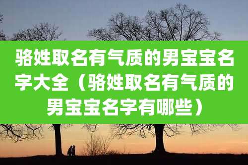 骆姓取名有气质的男宝宝名字大全（骆姓取名有气质的男宝宝名字有哪些）