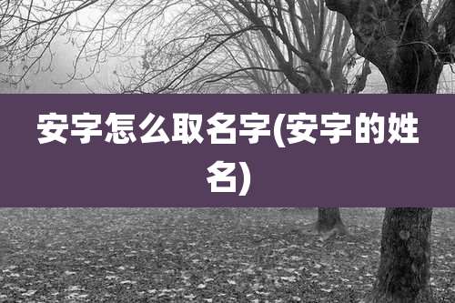 安字怎么取名字(安字的姓名)