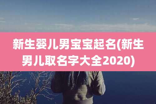 新生婴儿男宝宝起名(新生男儿取名字大全2020)