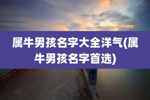 属牛男孩名字大全洋气(属牛男孩名字首选)
