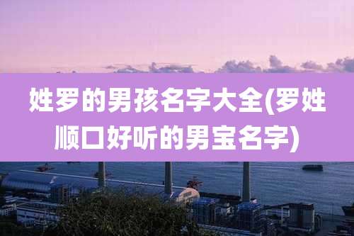 姓罗的男孩名字大全(罗姓顺口好听的男宝名字)