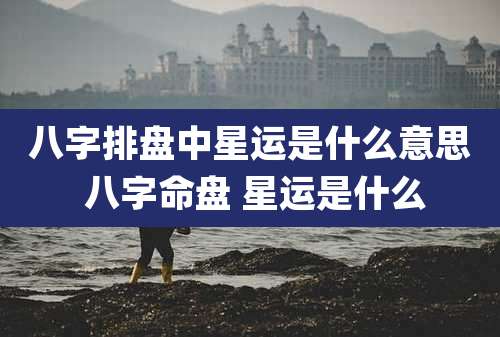 八字排盘中星运是什么意思 八字命盘 星运是什么