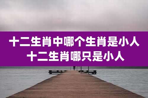 十二生肖中哪个生肖是小人 十二生肖哪只是小人