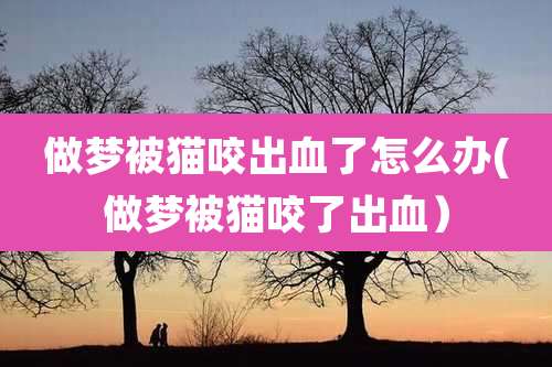 做梦被猫咬出血了怎么办(做梦被猫咬了出血）