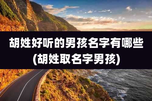 胡姓好听的男孩名字有哪些(胡姓取名字男孩)