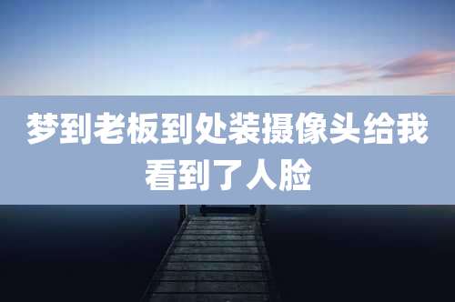 梦到老板到处装摄像头给我看到了人脸