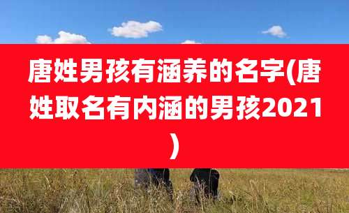 唐姓男孩有涵养的名字(唐姓取名有内涵的男孩2021)