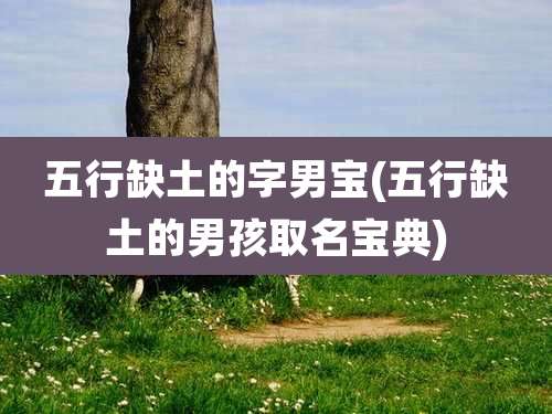 五行缺土的字男宝(五行缺土的男孩取名宝典)