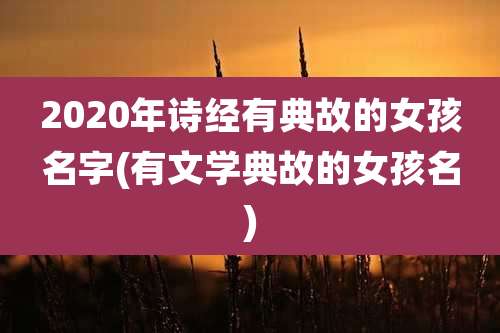 2020年诗经有典故的女孩名字(有文学典故的女孩名)