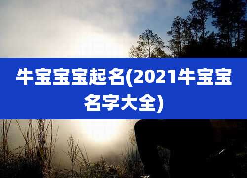 牛宝宝宝起名(2021牛宝宝名字大全)