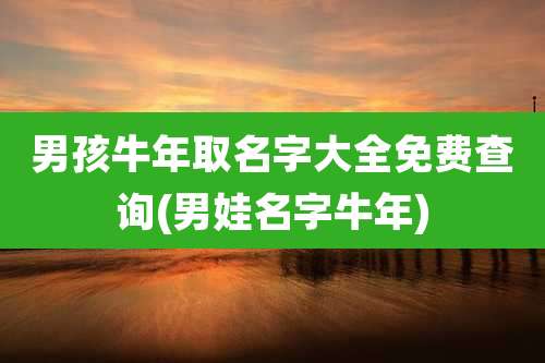男孩牛年取名字大全免费查询(男娃名字牛年)