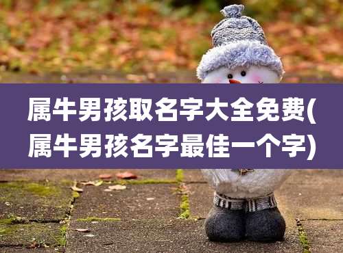 属牛男孩取名字大全免费(属牛男孩名字最佳一个字)