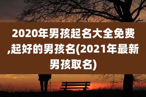 2020年男孩起名大全免费,起好的男孩名(2021年最新男孩取名)
