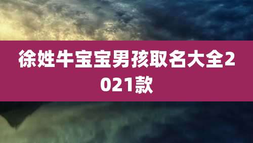 徐姓牛宝宝男孩取名大全2021款